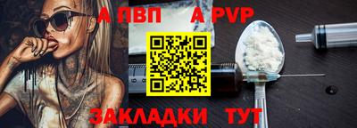 тгк Кингисепп