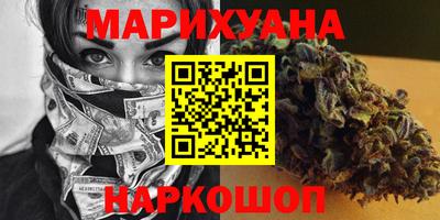 тгк Кингисепп