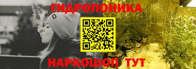 тгк Кингисепп
