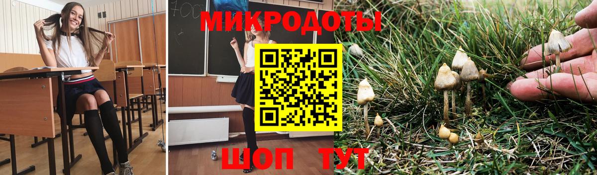 Псилоцибиновые грибы прущие грибы  Вход с VPN  Коркино 
