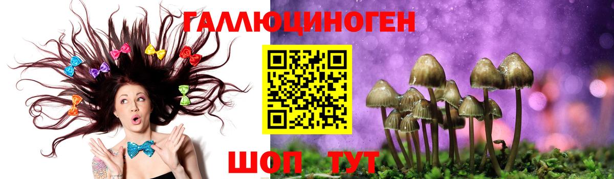 Псилоцибиновые грибы GOLDEN TEACHER Коркино